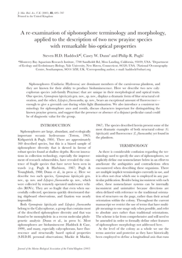 A Re-Examination of Siphonophore Terminology and Morphology, Applied to the Description of Two New Prayine Species with Remarkable Bio-Optical Properties