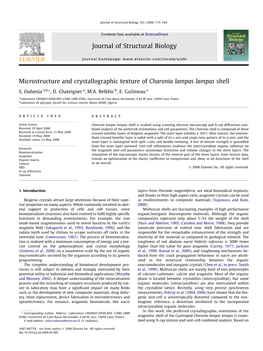 Microstructure and Crystallographic Texture of Charonia Lampas Lampas Shell Journal of Structural Biology