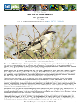 Oman & the UAE: Birding Arabia I 2016
