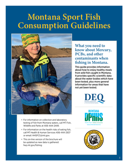 Fish Consumption Guidelines