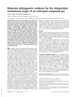 Molecular Phylogenetic Evidence for the Independent Evolutionary Origin of an Arthropod Compound Eye