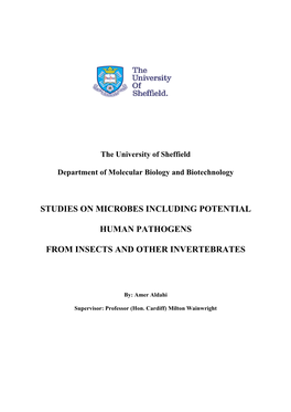 Studies on Microbes Including Potential Human Pathogens From