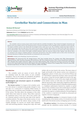 Cerebellar Nuclei and Connections in Man