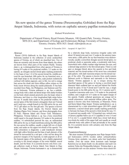 Six New Species of the Genus Trimma (Percomorpha; Gobiidae) from the Raja Ampat Islands, Indonesia, with Notes on Cephalic Sensory Papillae Nomenclature