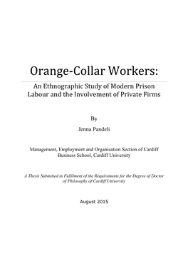 Orange-Collar Workers: an Ethnographic Study of Modern Prison Labour and the Involvement of Private Firms