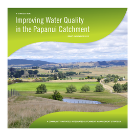 Improving Water Quality in the Papanui Catchment DRAFT: NOVEMBER 2015