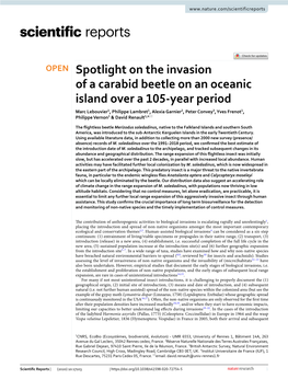 Spotlight on the Invasion of a Carabid Beetle on an Oceanic Island Over A