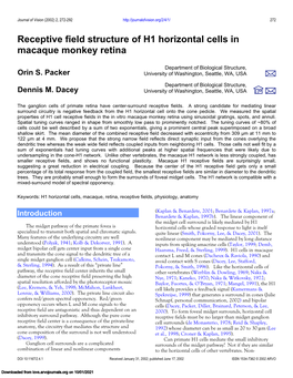 Receptive Field Structure of H1 Horizontal Cells in Macaque Monkey Retina