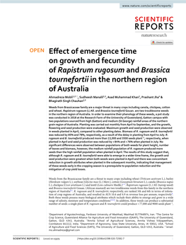 Effect of Emergence Time on Growth and Fecundity of Rapistrum Rugosum and Brassica Tournefortii in the Northern Region of Austra