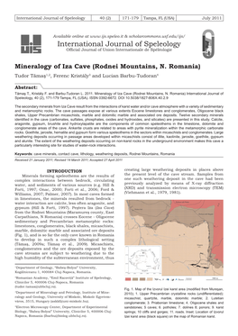 Mineralogy of Iza Cave (Rodnei Mountains, N