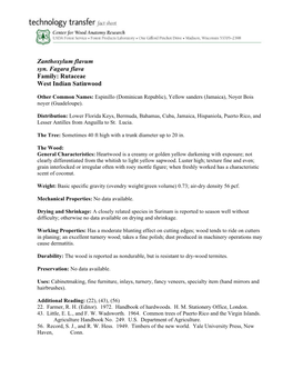 Zanthoxylum Flavum Syn. Fagara Flava Family: Rutaceae West Indian Satinwood