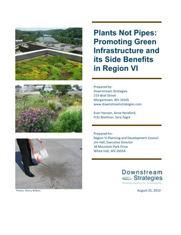 Plants Not Pipes: Promoting Green Infrastructure and Its Side Benefits in Region VI