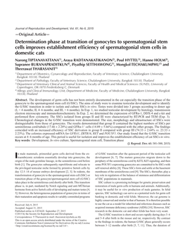 Determination Phase at Transition of Gonocytes to Spermatogonial Stem Cells Improves Establishment Efficiency of Spermatogonial