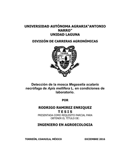 Universidad Autónoma Agraria“Antonio Narro” Unidad Laguna