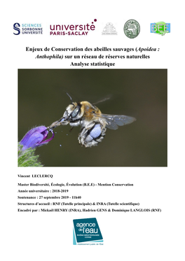 Enjeux De Conservation Des Abeilles Sauvages (Apoidea : Anthophila) Sur Un Réseau De Réserves Naturelles Analyse Statistique