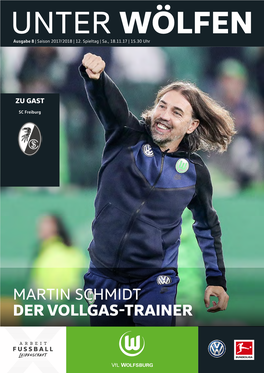 Martin Schmidt Der Vollgas-Trainer