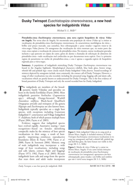 Dusky Twinspot Euschistospiza Cinereovinacea, a New Host Species for Indigobirds Vidua Michael S