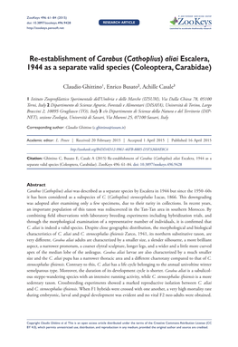 Re-Establishment of Carabus (Cathoplius) Aliai Escalera, 1944 As a Separate Valid Species (Coleoptera, Carabidae)