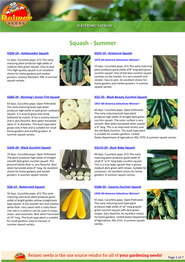 Summer Squash Variety