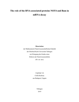 The Role of the RNA-Associated Proteins NOT4 and Bam in Mrna Decay