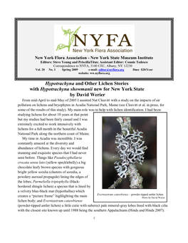 Hypotrachyna and Other Lichen Stories with Hypotrachyna Showmanii New for New York State by David Werier