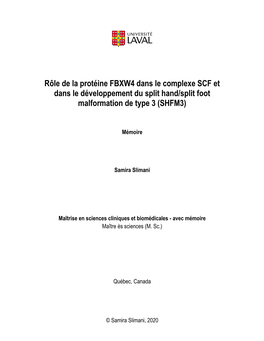 Rôle De La Protéine FBXW4 Dans Le Complexe SCF Et Dans Le Développement Du Split Hand/Split Foot Malformation De Type 3 (SHFM3)