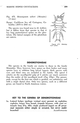 Onal Segments Either Simple Or Serrated, but Never Multi* Branched Acanthomtinna 300 MARINE ISOPOD CRUSTACEANS