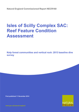 Isles of Scilly Complex SAC: Reef Feature Condition Assessment