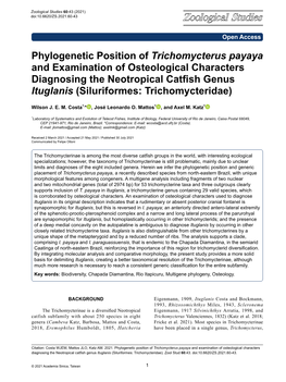 Phylogenetic Position of Trichomycterus Payaya And