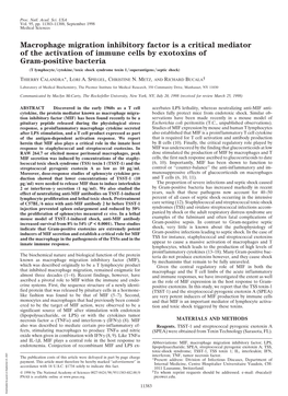 Macrophage Migration Inhibitory Factor Is a Critical Mediator of The