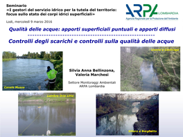 Qualità Delle Acque: Apporti Superficiali Puntuali E Apporti Diffusi ------Controlli Degli Scarichi E Controlli Sulla Qualità Delle Acque