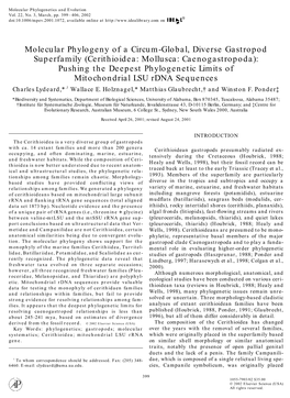 Molecular Phylogeny of a Circum-Global, Diverse Gastropod Superfamily (Cerithioidea: Mollusca: Caenogastropoda): Pushing The