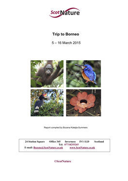 Trip to Borneo