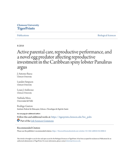 Active Parental Care, Reproductive Performance, and a Novel Egg Predator Affecting Reproductive Investment in the Caribbean Spiny Lobster Panulirus Argus J