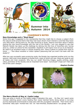 Summer Into Autumn 2014