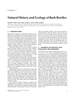 Bark Beetles