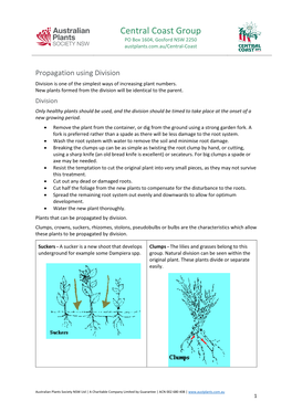 Propagation Using Division Division Is One of the Simplest Ways of Increasing Plant Numbers