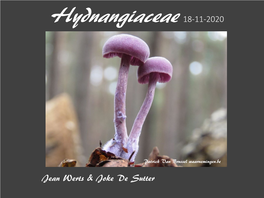 Hydnangiaceae 18-11-2020