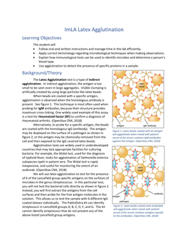 Imla Latex Agglutination Learning Objectives the Student Will  Follow Oral and Written Instructions and Manage Time in the Lab Efficiently