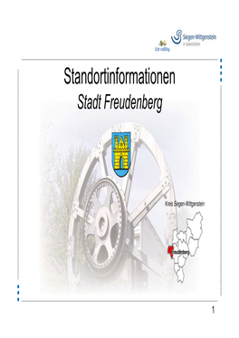 Standortinformationen Stadt Freudenberg