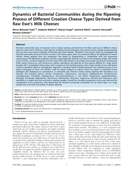 Dynamics of Bacterial Communities During the Ripening Process of Different Croatian Cheese Types Derived from Raw Ewe’S Milk Cheeses