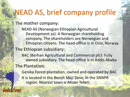 NEAD AS, Brief Company Profile the Mother Company: NEAD AS (Norwegian Ethiopian Agricultural Development As): a Norwegian Shareholding Company