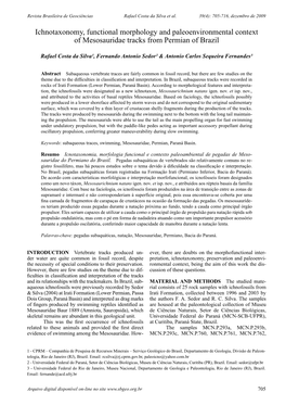 Ichnotaxonomy, Functional Morphology and Paleoenvironmental Context of Mesosauridae Tracks from Permian of Brazil