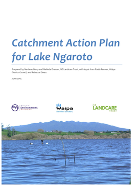 Catchment Action Plan for Lake Ngaroto