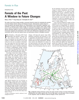 Forests of the Past: a Window to Future Changes