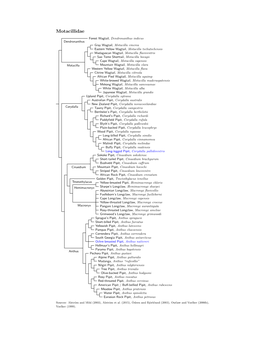 Motacillidae.Pdf