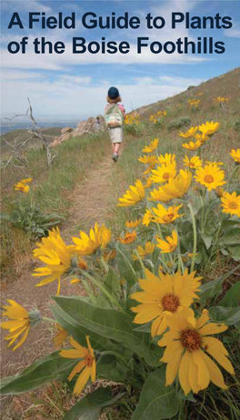 A Field Guide to Plants of the Boise Foothills