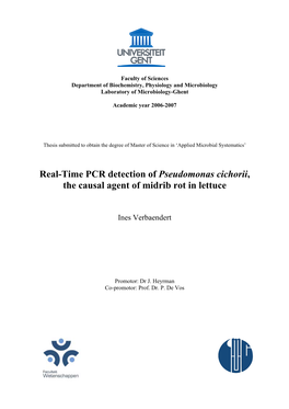 Real-Time PCR Detection of Pseudomonas Cichorii, the Causal Agent of Midrib Rot in Lettuce