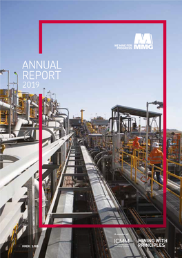 MMG 2019 Annual Report