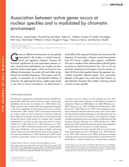 Association Between Active Genes Occurs At